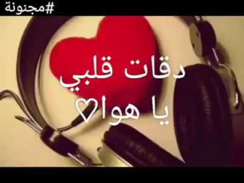 شو صار ايهاب القواسمي