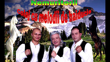 Colaj cu melodii de haiducie