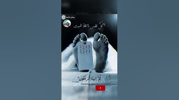 كل نفس ذائقة الموت 😭🥲🤲 #سورة #العنكبوت #عبدالرحمن_مسعد #تلاوة_خاشعة