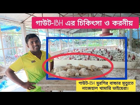 ভিডিও: বয়লার কি সরানো যায়?