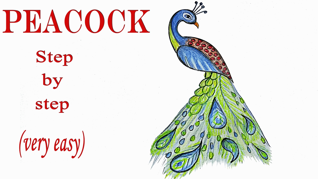 How to draw a peacock step by step (very easy) || Art video - YouTube