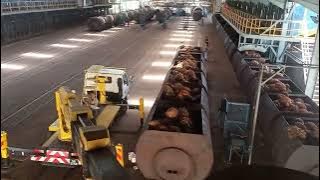 #ram #temptpengisian #buahsawit