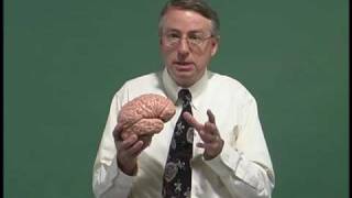 NeuroLogic Exam Videos : Overview