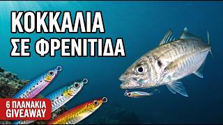 Κοκκάλια σε φρενίτιδα και Giveaway 6 πλανάκια!