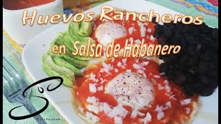 Huevos RANCHEROS en Salsa de HABANERO | Cocina & Vida Saludable