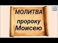 Молитва пророку Моисею Боговидцу. Каскун Максим