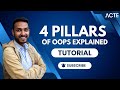 Learn the 4 Core OOPs Principles to Level Up Your Coding Skills! 🚀