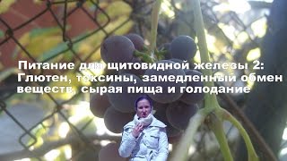 Питание для щитовидной железы 2: Глютен, токсины, замедленный обмен веществ, сырая пища и голодание. Питание для щитовидной железы 2: Глютен, токсины, замедленный обмен веществ, сырая пища и голодание.