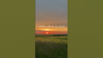 القران الكريم#ياسر_الدوسري #القرآن_الكريم #quran #اكسبلور #شرعا #القرآن_الكريم #دويتو #duet #الجزائر