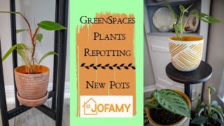 Greenspaces Plants Potting Up With Jofamy Pots