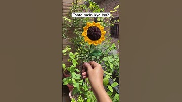 Thumbnail of Sunflower crochet 🧶 #song #bollywood #crochet #sunflower