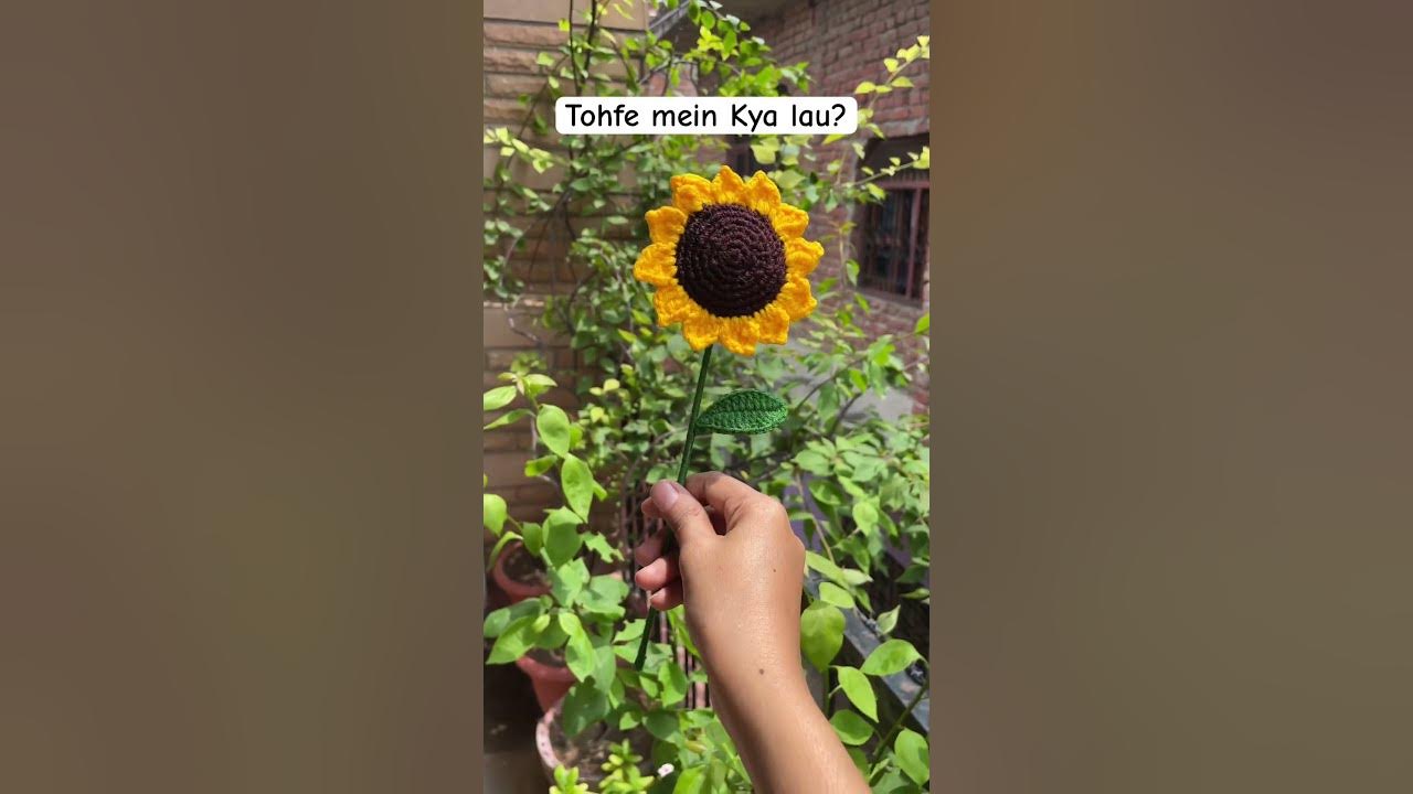 Sunflower crochet 🧶 #song #bollywood #crochet #sunflower