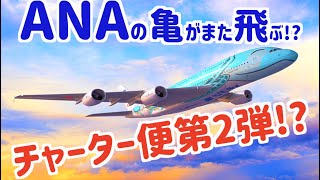 【ハワイまで行っちゃいましょうよ!! / 4K】 &quot;ANA A380 フライングホヌ&quot; チャーター便第2弾決定!! ANAさん、本当にありがとうございます!!