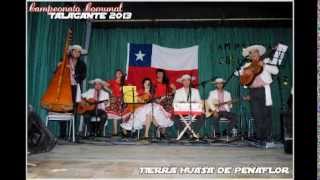 Video thumbnail of "Tierra Huasa De Peñaflor- Voy a Pedirle a La Nada"