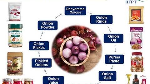 PowerPoint Presentation on Onion Flakes/Powder Processing (under PMFME Scheme) - ENGLISH