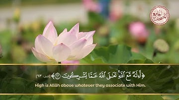 أمّن يهديكم في ظلمات البرّ والبحر ومن يُرسل الرياحَ بُشرًا بين يدي رحمته.. سورة النمل الآية 63