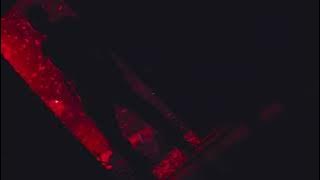 Willy’s Wonderland - Willy’s Wonderland {Slowed}