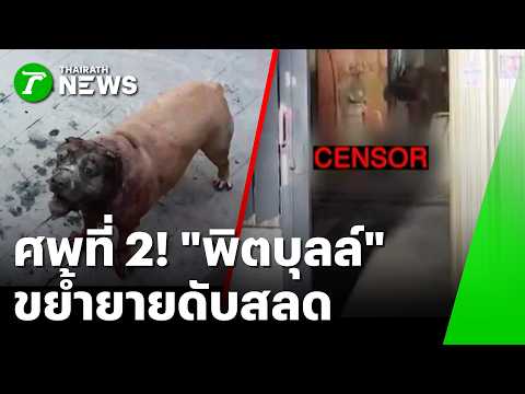 Frenzy at home! Sick and irritable Pit Bull mauls 70-year-old grandmother to death | Sep 10, 2026...