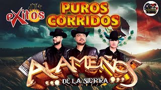 CUMBIAS - ALAMEÑOS DE LA SIERRA - PARA BAILAR MIX 2024