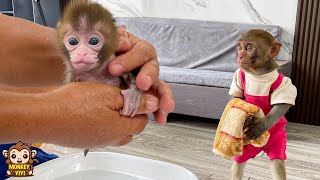 Smart YiYi helps grandpa bathe for baby monkey