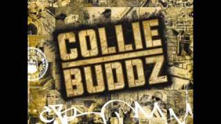 Collie Buddz - [Collie Buddz ] Come Around HQ chords