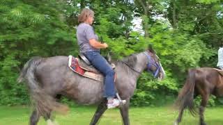 Cousin Trail Ride