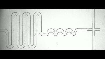 Digital Droplet Microfluidic Flow Cytometry for Detection of Multiple miRNAs in Single CTC Cells_1