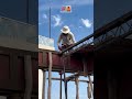 #contractor #construction #civilengineering #business #shorts