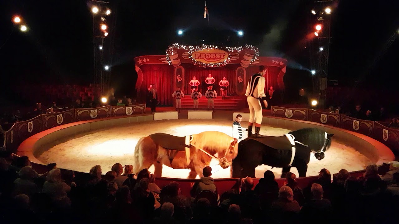 Spindler Family Jockey / Krefelder Weihnachtscircus Probst 2017/18