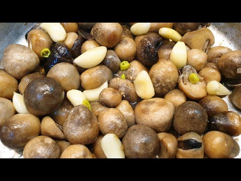 NẤM RƠM XÀO TỎI món nhậu ngon đơn giản dễ làm rất bổ dưỡng - món ăn ngon dễ làm
