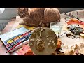 Art Vlog with Ginger Cat 🦊 Watercolor painting on plaster