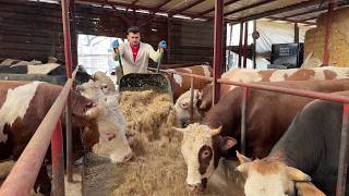 KURBANLIK BAKIMI #3 2026