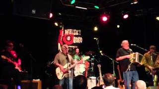 Video thumbnail of "Los Lobos perform Anselma at the Whiskey A Go Go"