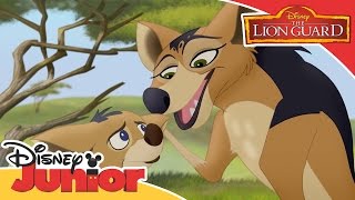 The Lion Guard - Jackal Style Song | Official Disney Junior Africa