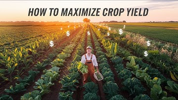 How to Maximize Crop Yield Secrets from Successful Farmers