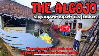 Download Lagu persiapan ALGOJO siap menulup JLS jember MP3 Download Lagu persiapan ALGOJO siap menulup JLS jember MP3