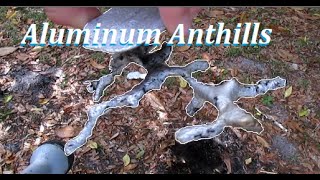 How To Make an Anthill Casting