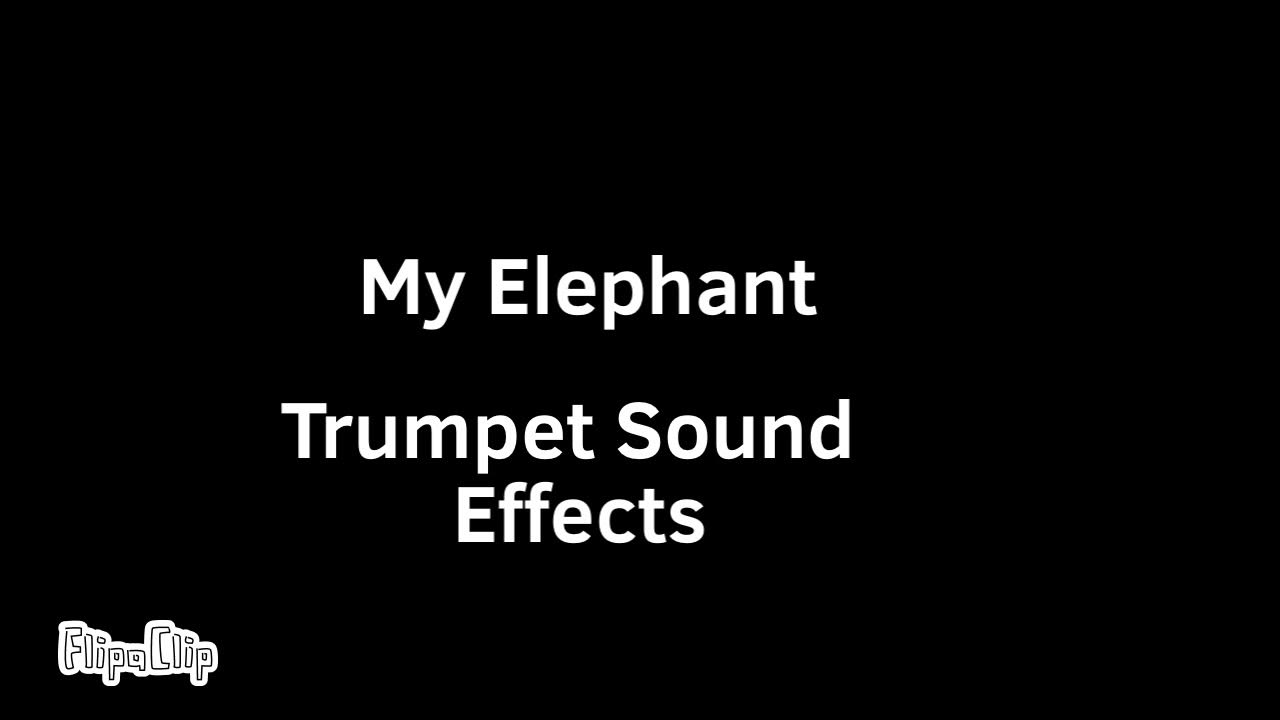 My Elephant Trumpet Sound Effects YouTube