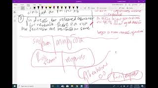 ACCA F8 Class 40 Audit Risk Part 2 mp4   Google Drive