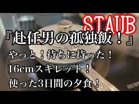 Staub Study Group] 16cm skillet! Supper for 3 days using! - YouTube