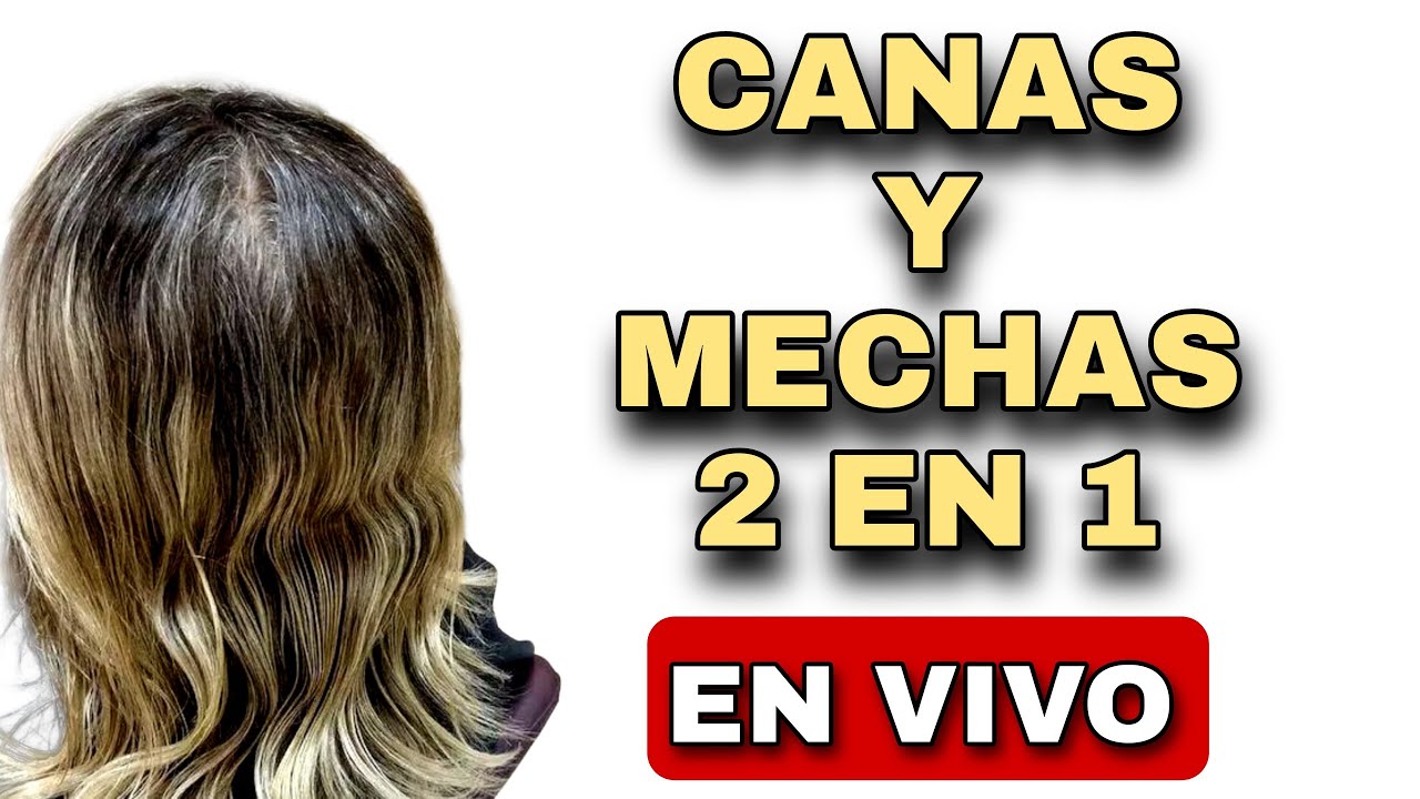 Canas y Mechas 2 en 1 TUTORIAL peluqueria
