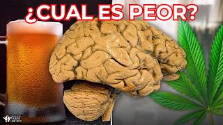 THC o Alcohol: ¿Cuál es PEOR?