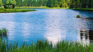 Download Lagu Amsal Mitike   Meshmonmon   አምሣለ ምትኬ   መሽሞንሞን   Ethiopian Music MP3