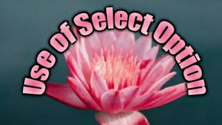 Use of select option in mspaint