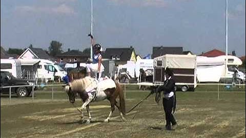 Dilja Vilhjálmsdóttir Menzinger / DJIM 2012