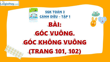 Góc vuông. Góc không vuông - SGK Toán 3 Cánh Diều tập 1 - Trang 101, 102