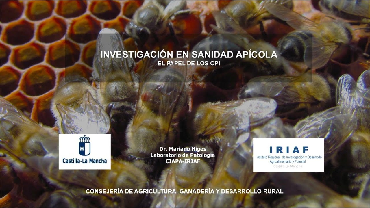 Investigación en sanidad apícola. El papel de los OPI