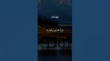 تلاوة هادئه تريح القلب ❤ قران كريم ❤ قرآن ❤قران ❤ تلاوة خاشعة ❤أرح سمعك ❤ short ❤