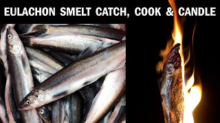 Catch &amp; Cook Eulachon (Smelt) + Making Fish Candles! Cowlitz River Smelt Fishing