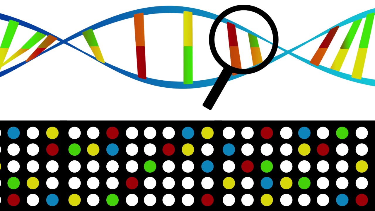 Scientists find new, rare mutations linked to inflammatory bowel disease